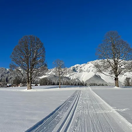 Haus Melody Apartment Schladming