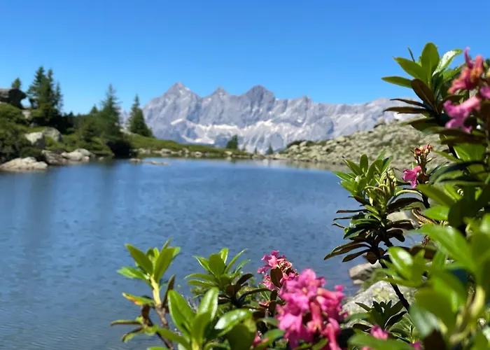 Apartamento Haus Melody Schladming